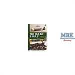 Aviation Guide: IAR.80 & IAR.81 