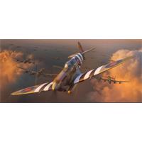 Royal Air Force aircrafts WWII (<= 1:72)
