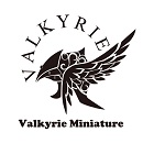 VALKYRIE MODELS