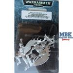 Dark Eldar Bestienmeister