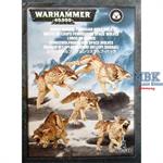 Fenriswolfrudel der Space Wolves Fenriswolfrudel der Space Wolves
