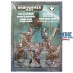 Inccubi der Dark Eldar Inccubi der Dark Eldar
