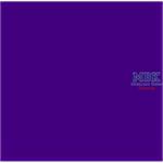 Mr Color Spray Purple/Purpur 100ml
