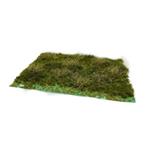Trockenes Gras Vollfläche DIN A6