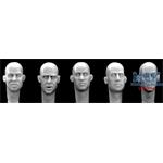 5 different European bald Heads