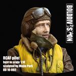 Royal Canadian Airforce pilot bust (1:10)