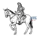 US mounted Soldier in Afghanistan