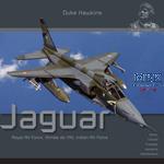 Duke Hawkins: Sepecat Jaguar