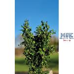 Busch-Heckenwerk 1/35-1/16 (50-80mm) grün