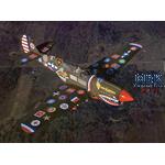 "15,000" Curtiss P-40N Warhawk
