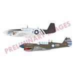 Sharks and Stallions Dual Combo (P-40N and P-51B)