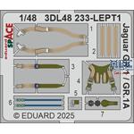 SEPECAT Jaguar GR.1/GR.1A SPACE 1/48