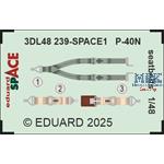 Curtiss P-40N Warhawk seatbelts SPACE 1/48