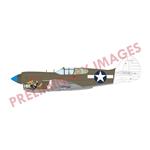 Curtiss P-40K Warhawk Short Tail - ProfiPack -