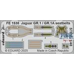 SEPECAT Jaguar GR.1/GR.1A seatbelts STEEL 1/48
