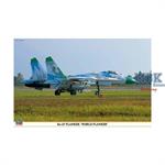 Su-27 FLANKER \"WORLD FLANKER\"
