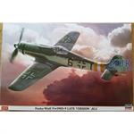 Focke Wulf FW190D-9 late  - Limited Edition