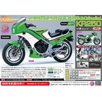 Kawasaki KR250    1/12