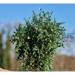 Busch-Heckenwerk 1/35-1/16 50-80mm Mittelgrün