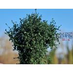 Busch-Heckenwerk 1/35-1/16 40-60mm Dunkelgrün