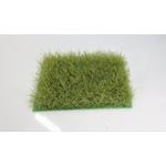 Frühlings Gras hell DIN A6 12-36mm
