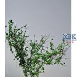 Tarnzweige Laub Mittelgrün  camouflage branches