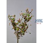 Tarnzweige Laub Dunkelbraun - Grün camo. branches