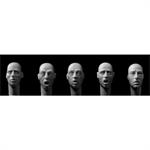 5 bald heads anxious/frightened expression