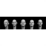 5 European bald heads