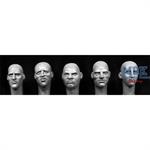 5 heads with various European faces