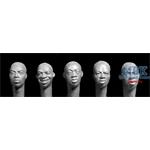 5 diffrent  sub-Saharan African heads
