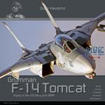 Duke Hawkins: Grumman F-14 Tomcat