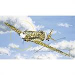 Macchi MC 202 Folgore
