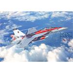 Boeing F/A-18F U.S. Navy Special Colors 1/48