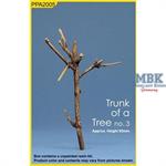 Tree Trunk 3