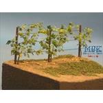 Grape Vine (1/35)