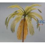 Palm (1/35)