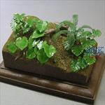 Jungle A (1/35)