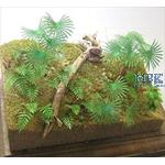 Jungle B (1/35)