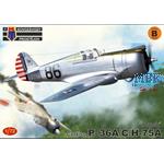 Curtiss P-36A/C/H-75A "Hawk"