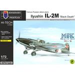 Ilyushin IL-2 „Black Death“