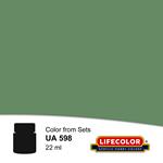 UA598 FS 34227 Pale Green