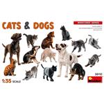 Cats & Dogs
