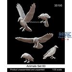 Animals Set 60