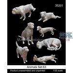 Animals Set 63