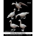 Animals Set 67 (Geese)