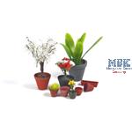 Flower pots - Blumentöpfe