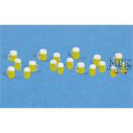 Beer Glasses