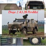 Referenz-Foto CD "Dingo 2 A3.2B"