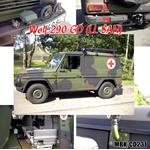 Referenz-Foto CD "Wolf 290GD LL San"